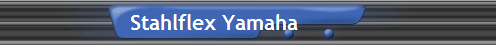 Stahlflex Yamaha